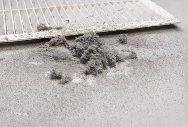Best Emergency Air Duct Cleaning  in Galion, OH