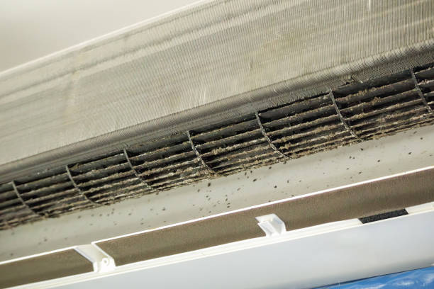 Best Air Duct Inspection  in Galion, OH